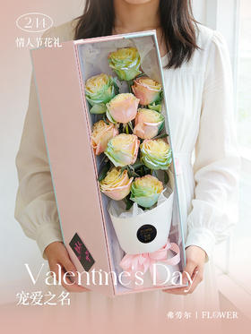 宠爱之名（厄瓜多尔玫瑰）