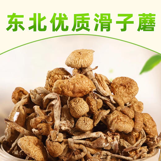 雪松山珍礼包290g/盒 商品图1