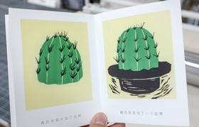 成都丨开雾丨青苹果一纸折页书