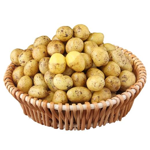 山东小土豆  约450g-500g 买放心菜就上瑞和泰 商品图0