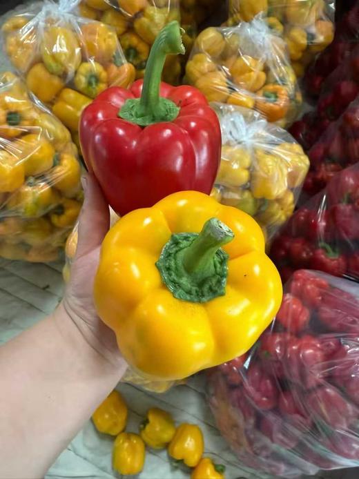 双色彩椒 商品图3