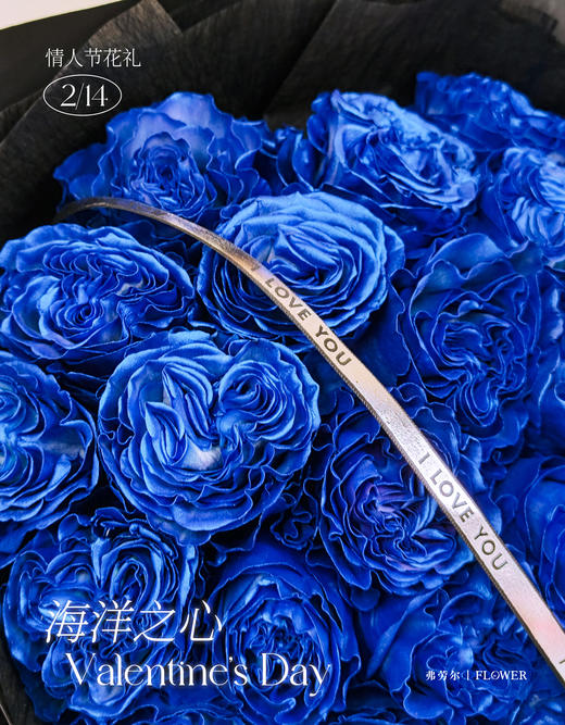 海洋之星（厄瓜多尔玫瑰） 商品图1