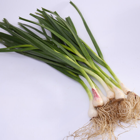 无蓝帆青大蒜 约200g-250g 买放心菜就上瑞和泰