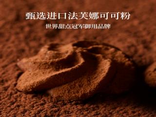 ADOL 珍妮曲奇巧克力味180g*1罐（不含拎袋） 商品图5