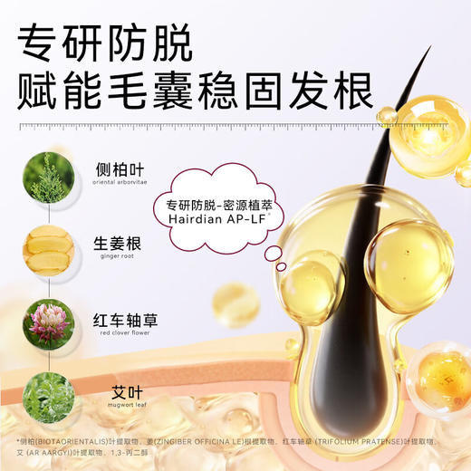 黛丝恩致美 防脱控油洗发水450ml/117566  防脱 防断发掉发 商品图2