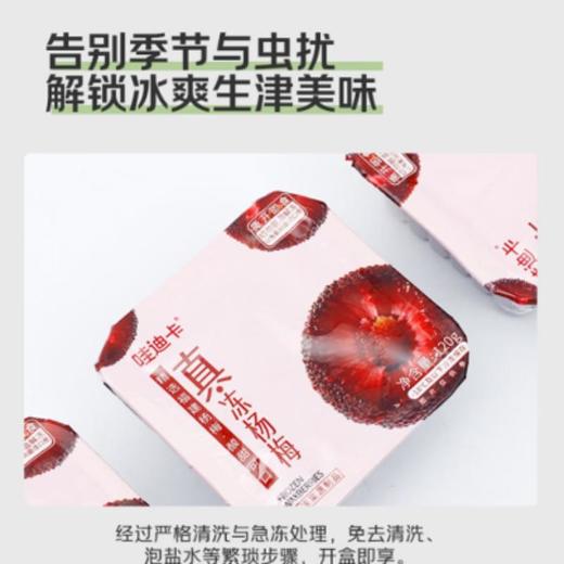 哇迪卡 真冻杨梅120g/盒 商品图1