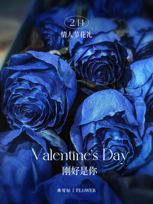 刚好是你（厄瓜多尔玫瑰） 商品图3