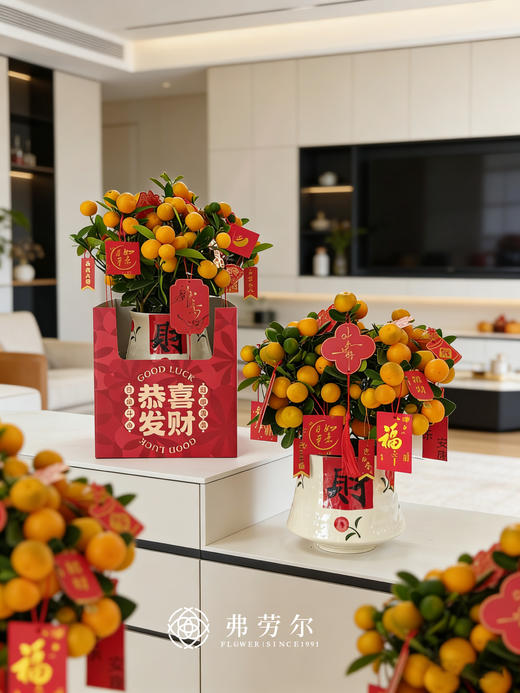 金玉满堂-金桔盆栽 商品图0