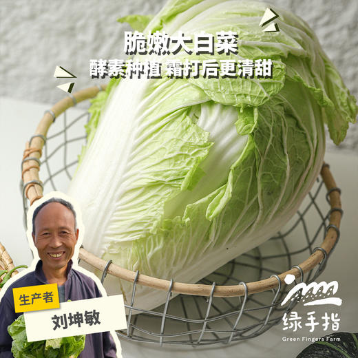 生态大白菜（山东，75折优惠）| 合作生产*Ecological Chinese cabbage| Partner Production 商品图0