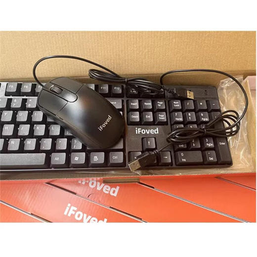 方正iFoved  F8800 有线键盘+ 鼠标套装 商品图2