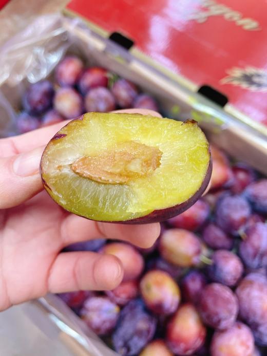 西梅一斤 商品图3