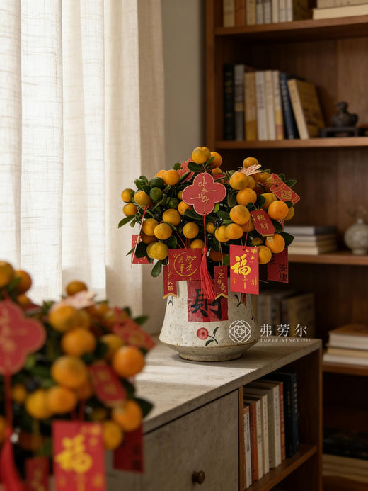 金玉满堂-金桔盆栽 商品图1