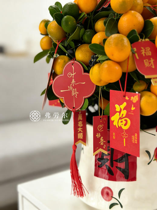 金玉满堂-金桔盆栽 商品图2
