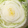 生态大白菜（山东，75折优惠）| 合作生产*Ecological Chinese cabbage| Partner Production 商品缩略图2