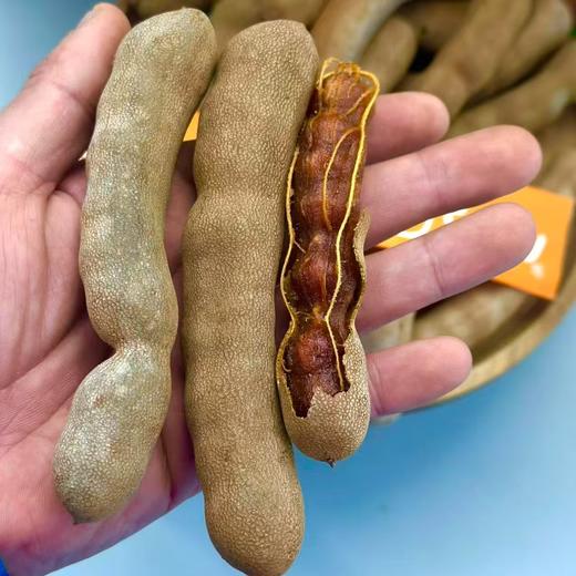 泰国 特级「烤大甜角」 商品图1