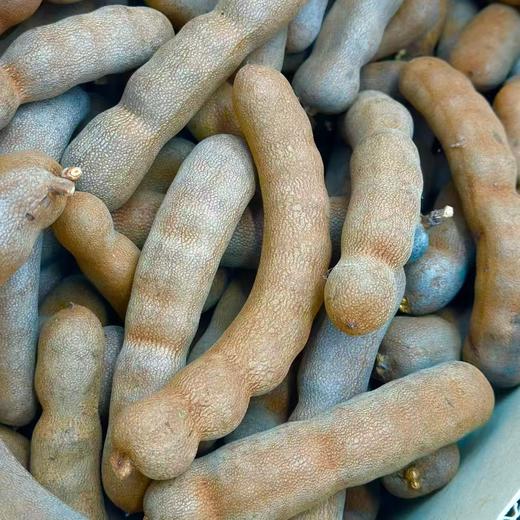 泰国 特级「烤大甜角」 商品图4