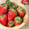 生态浙江草莓【买一送一，5折优惠，3-5天左右发货】| 合作生产*Ecological strawberry | Partner Production 商品缩略图3