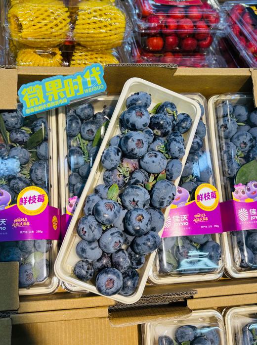 佳沃鲜枝巨无霸蓝莓一盒 商品图2
