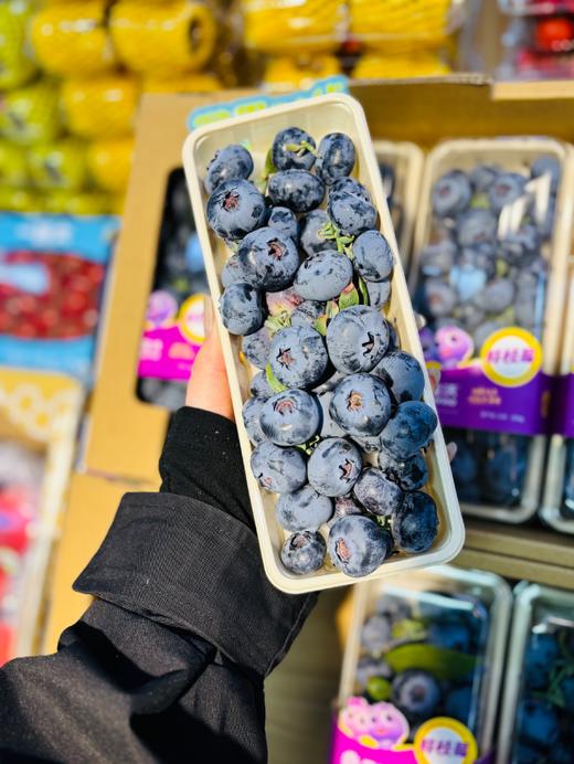 佳沃鲜枝巨无霸蓝莓一盒 商品图0