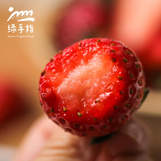 生态浙江草莓【买一送一，5折优惠，3-5天左右发货】| 合作生产*Ecological strawberry | Partner Production 商品图1