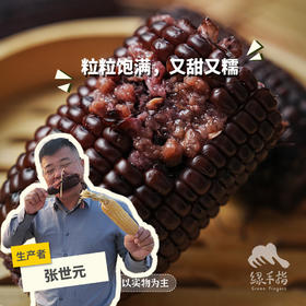 有机糯玉米（鲜食真空包装甜糯玉米） | 合作生产* Organic glutinous corn| Partner Production