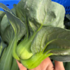 生态苏州青 | 绿家自产* Eco-Chinese cabbage | In-House Production 商品缩略图0