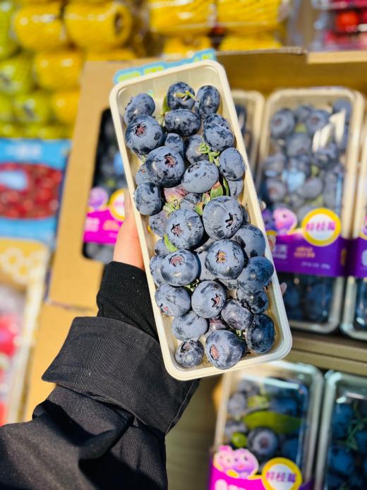 佳沃鲜枝巨无霸蓝莓一盒 商品图3