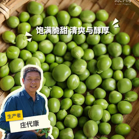 生态甜豌豆（带荚，吃豆米）| 合作生产 * Organic Sweet Pea  | Self-production