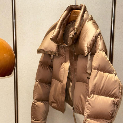 【特价不退换】【预售7天】良木礼短款连帽鹅绒服(1496) 商品图1