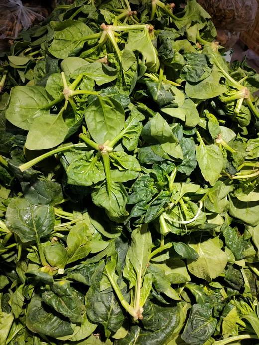 菠菜一斤 商品图0