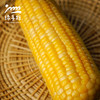 有机糯玉米（鲜食真空包装甜糯玉米） | 合作生产* Organic glutinous corn| Partner Production 商品缩略图3