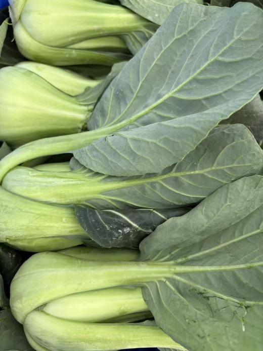 生态油冬菜（个大肉厚品质优）| 绿家自产* Eco-Spoon Cabbage | In-House Production 商品图2