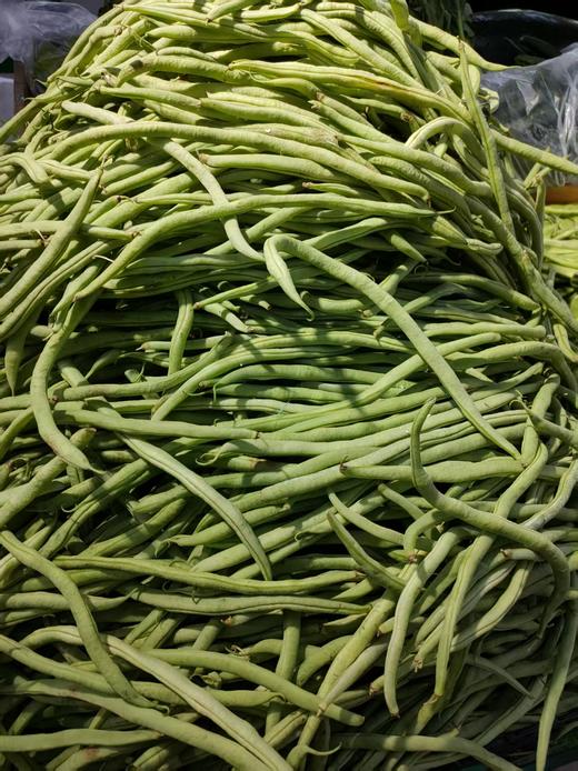 架豆王一斤 商品图0