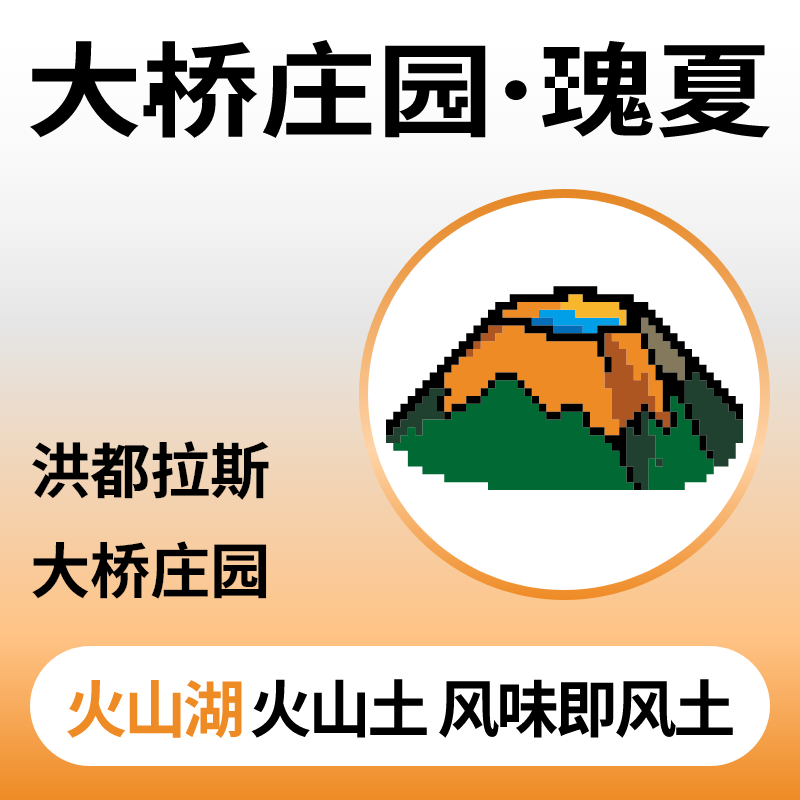 捌比特洪都拉斯大桥瑰夏浅烘焙手冲水洗精品咖啡豆100g