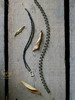 SpoiledBrat Jewelry14k注金尖晶石蕾丝颈链 商品缩略图2
