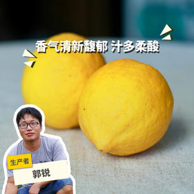 生态香水柠檬（广州）   | 合作生产 * Ecological Lemon | Coproduction