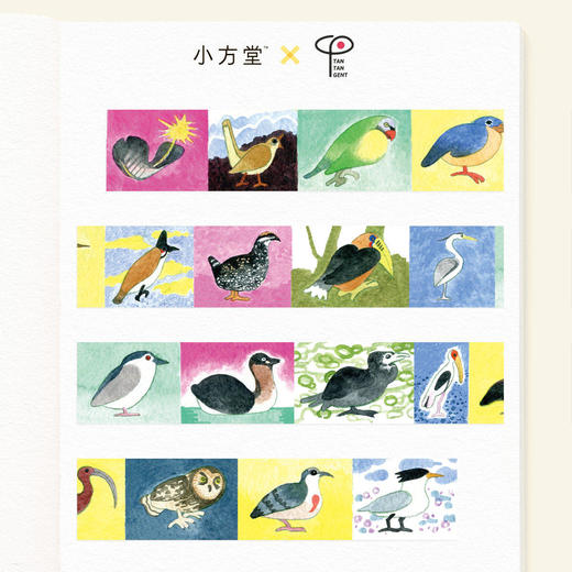 小鸟大富翁手帐和纸胶带拉条无离观鸟小方堂&times;TANTANGENT 商品图0