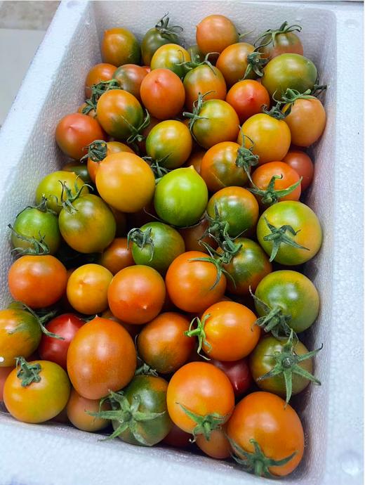 草莓桃柿子一箱 商品图1