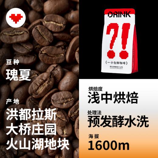 捌比特洪都拉斯大桥瑰夏浅烘焙手冲水洗精品咖啡豆100g 商品图3