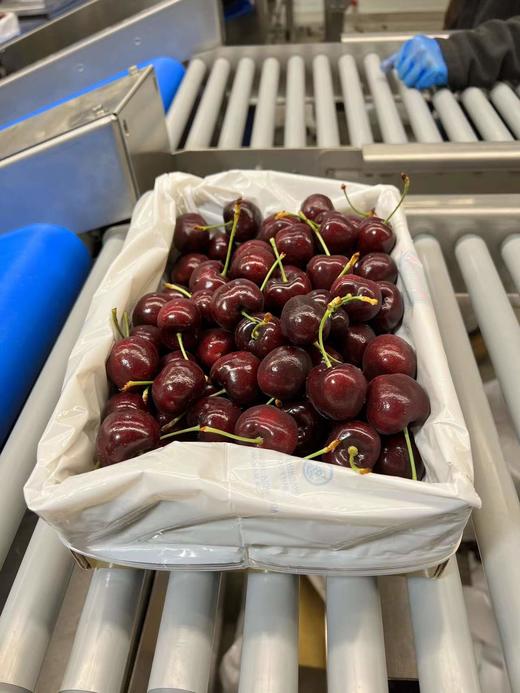 塔斯马尼亚HANSEN车厘子 商品图1