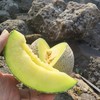 日本品种 牛三蜜瓜 玫珑瓜2-4只原箱装网纹甜瓜蜜瓜日本静冈哈密瓜 商品缩略图4