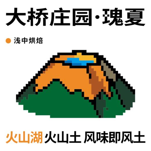 捌比特洪都拉斯大桥瑰夏浅烘焙手冲水洗精品咖啡豆100g 商品图2