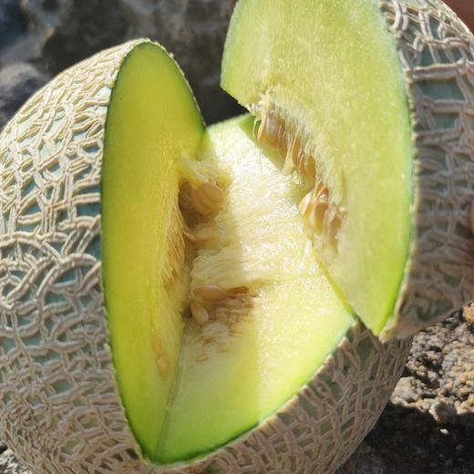 日本品种 牛三蜜瓜 玫珑瓜2-4只原箱装网纹甜瓜蜜瓜日本静冈哈密瓜 商品图3