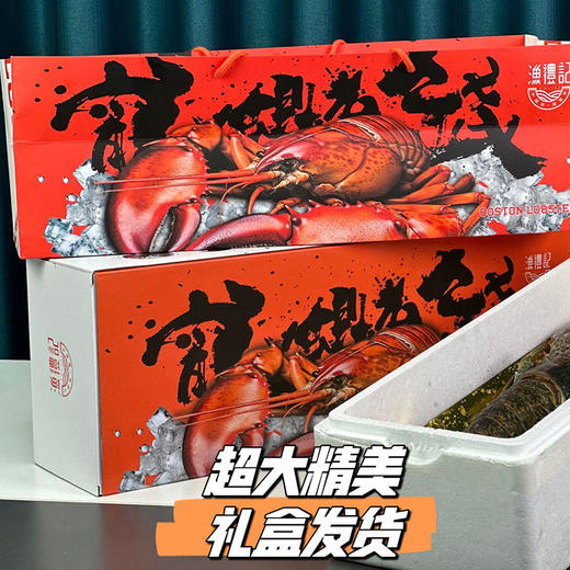 【渔礼记波士顿龙虾】深海洁净船捕速冻 锁住鲜美 餐桌畅享龙虾大餐（下单后3-4天发货） 商品图5
