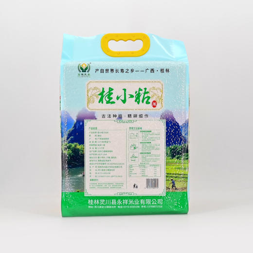 桂柳~桂小粘 商品图2