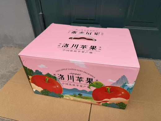 洛川红富士苹果24个装 10斤装 商品图2