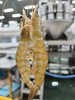 有机盐田虾，鲜甜、爽弹 商品缩略图1