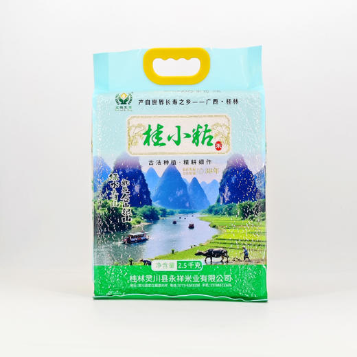 桂柳~桂小粘 商品图1