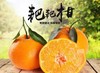 【严选】四川晚冬趣果 果园采摘直发耙耙柑4.5斤/8斤装  （厂家直发） 商品缩略图0