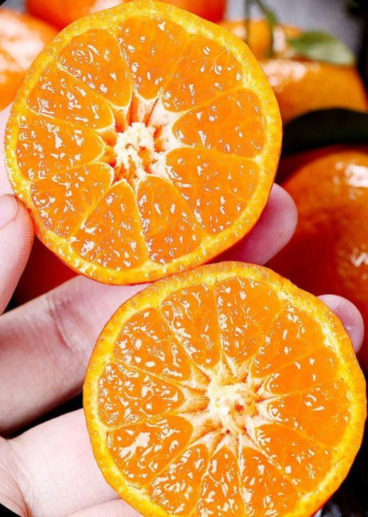 有机荔浦砂糖桔5斤 商品图2